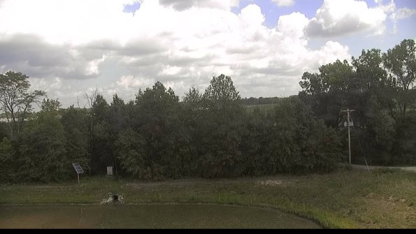 capture-1-22-08-22_15-17-58-33