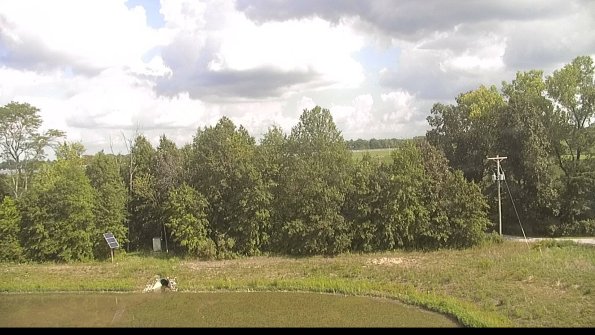 capture-1-22-08-22_16-19-47-43