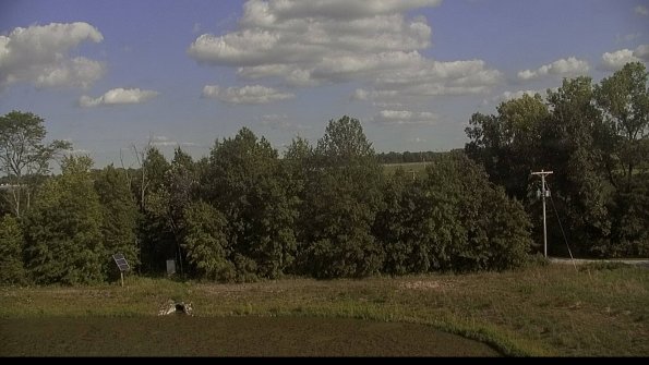 capture-1-22-08-23_17-03-30-41