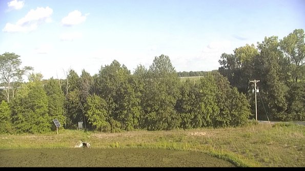 capture-1-22-08-24_17-47-11-45