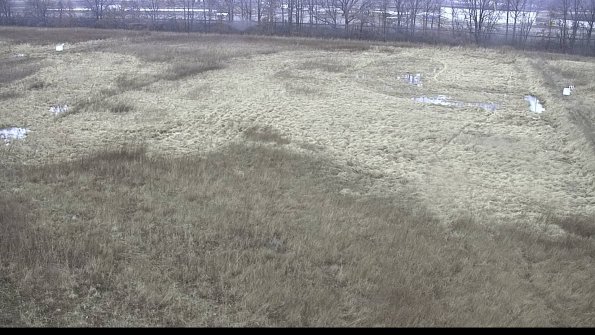 capture-8-23-01-20_11-17-45-71