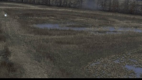 capture-5-23-03-08_08-20-12-10