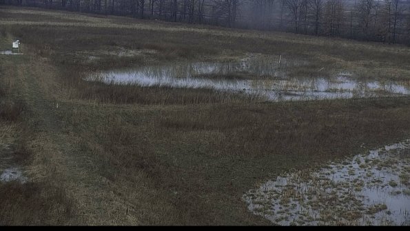 capture-5-23-03-23_08-06-35-22