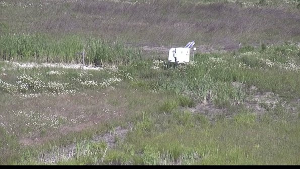 capture-7-23-06-10_09-54-56-16