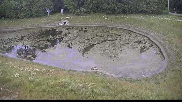 capture-14-23-06-12_08-10-35-81