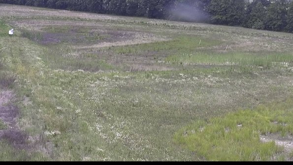 capture-5-23-06-16_11-34-12-55