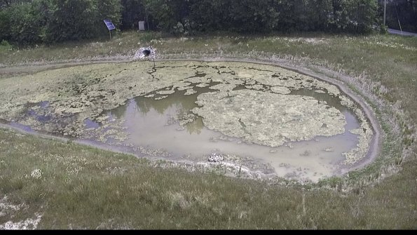 capture-14-23-06-19_13-18-08-80