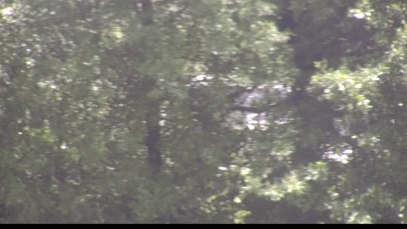 capture-1-23-06-20_13-08-27-24