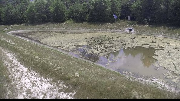 capture-15-23-06-20_13-09-00-37