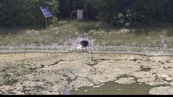 capture-16-23-06-20_13-09-09-35