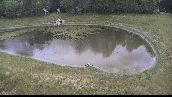 capture-14-23-06-26_12-36-54-99