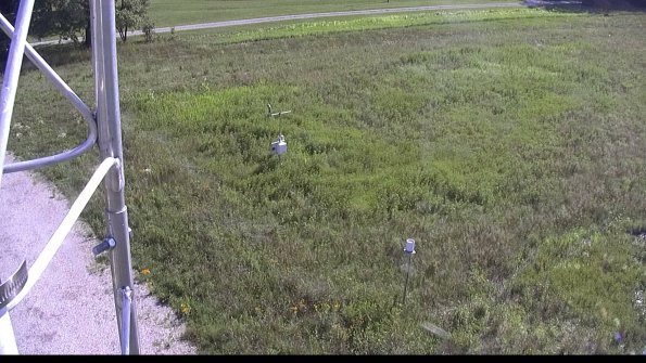 capture-1-23-07-28_17-17-07-12