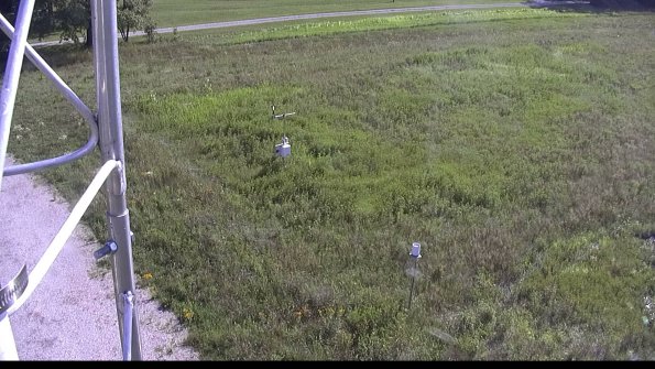 capture-1-23-07-28_17-25-46-51