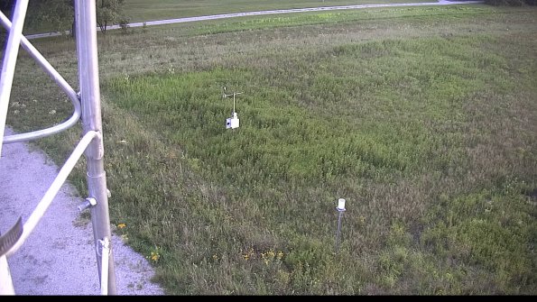 capture-1-23-07-28_20-41-37-49