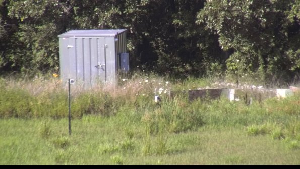 capture-2-23-07-28_17-06-30-12