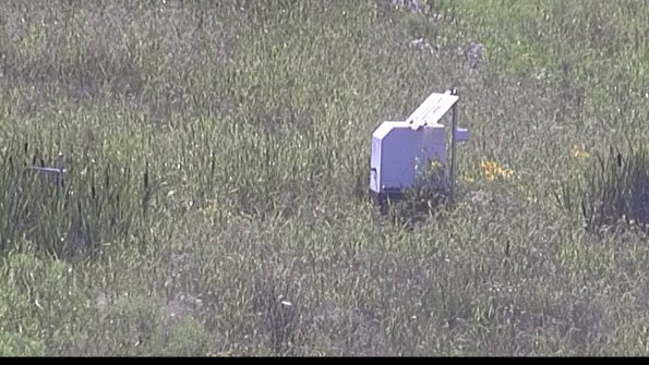 capture-4-23-07-28_17-30-38-54