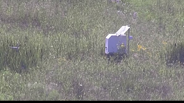 capture-4-23-07-28_17-47-59-02