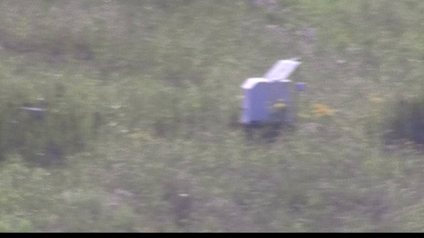 capture-4-23-07-28_17-56-37-74