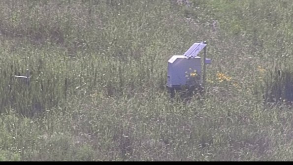 capture-4-23-07-28_18-21-19-79