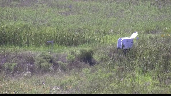 capture-5-23-07-28_16-38-17-35