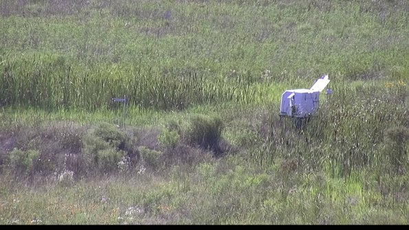 capture-5-23-07-28_16-49-07-20