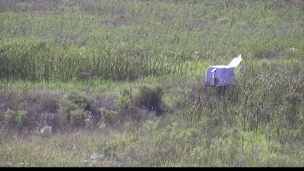 capture-5-23-07-28_17-02-38-05