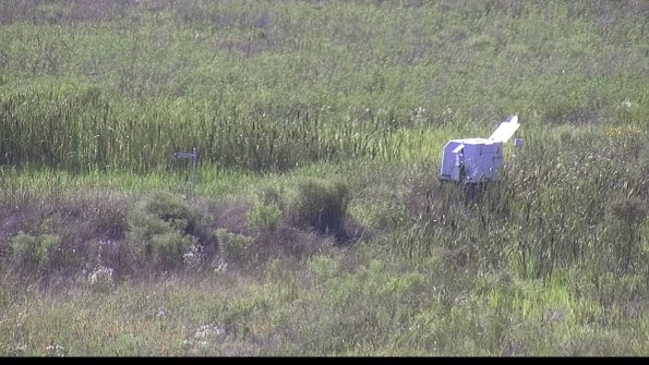 capture-5-23-07-28_17-15-38-23