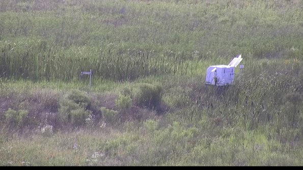 capture-5-23-07-28_17-19-58-06