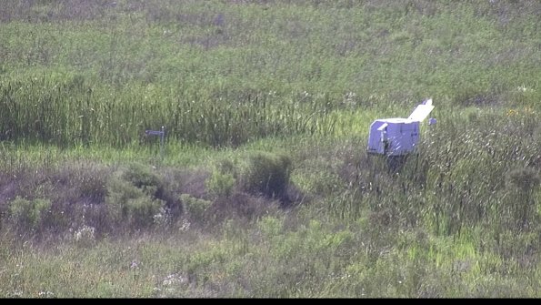 capture-5-23-07-28_17-22-07-39