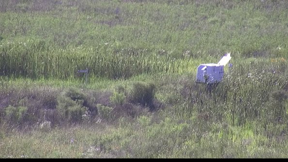 capture-5-23-07-28_17-43-47-56