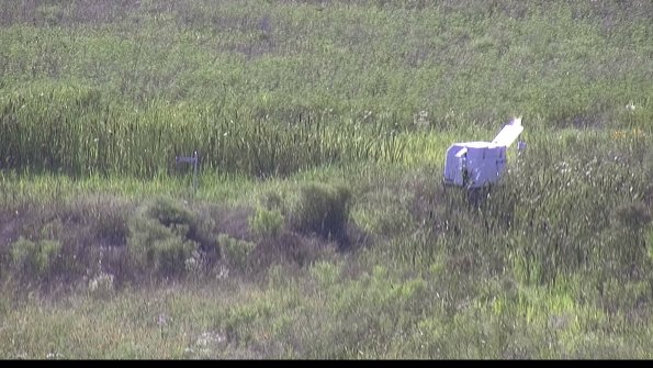 capture-5-23-07-28_17-45-57-63