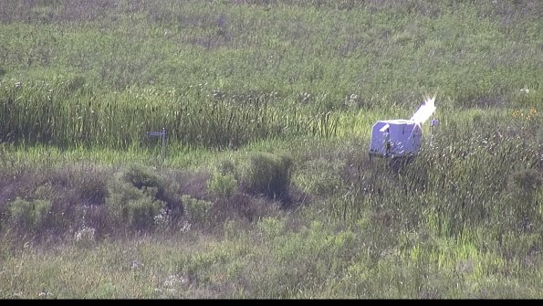 capture-5-23-07-28_17-54-38-15