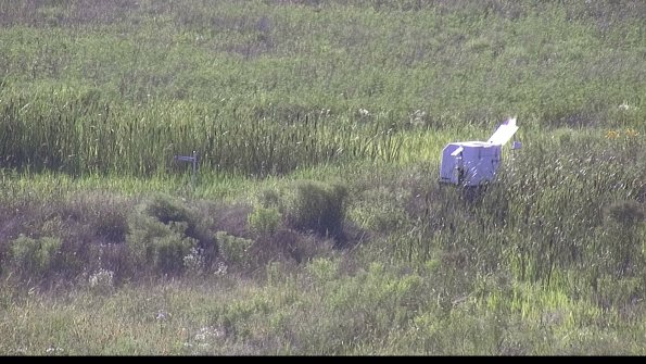 capture-5-23-07-28_18-06-19-02