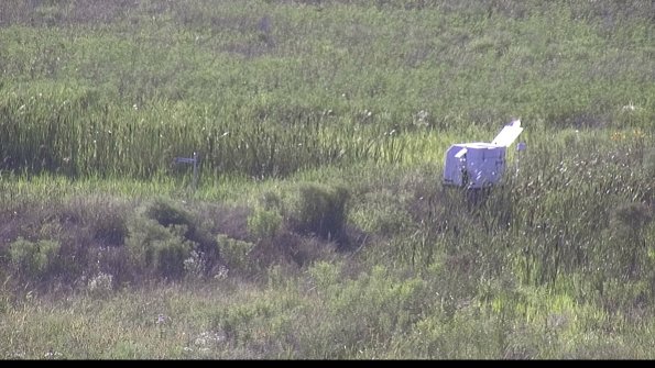 capture-5-23-07-28_18-19-18-93