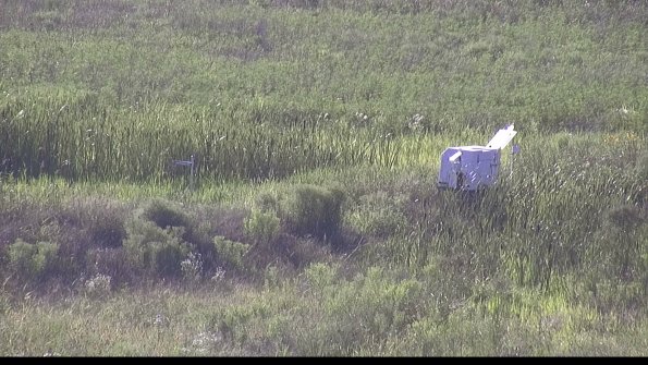 capture-5-23-07-28_18-43-08-90