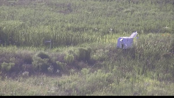 capture-5-23-07-28_19-22-09-15