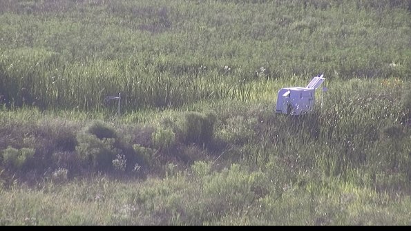 capture-5-23-07-28_19-24-18-98