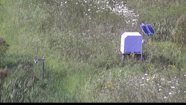 capture-6-23-07-28_17-09-17-22