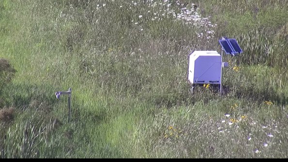 capture-6-23-07-28_17-59-07-09