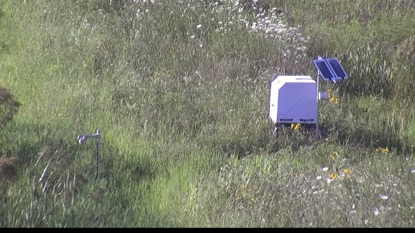 capture-6-23-07-28_18-43-17-61