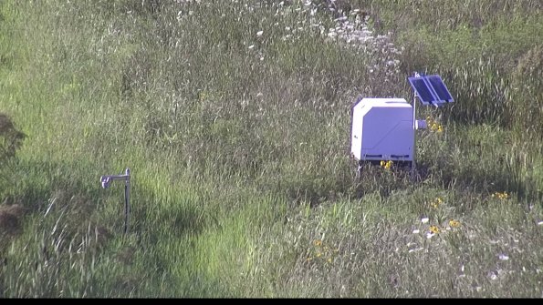 capture-6-23-07-28_18-49-47-53