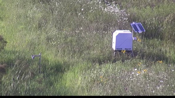 capture-6-23-07-28_19-09-17-61