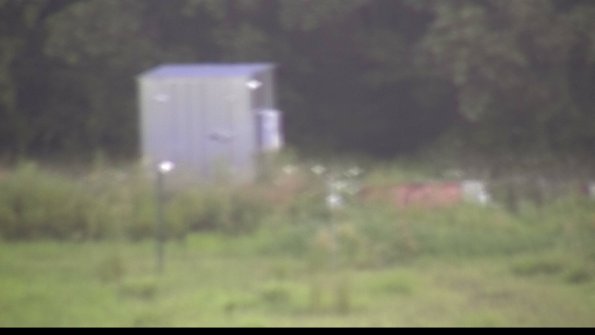 capture-2-23-07-29_07-59-51-29