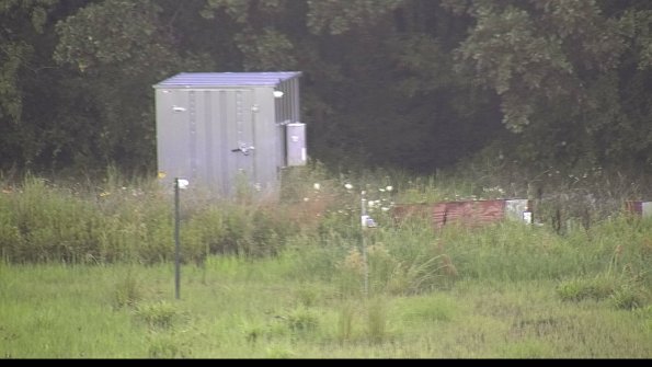 capture-2-23-07-29_08-06-21-25