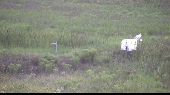 capture-5-23-07-29_08-50-08-69