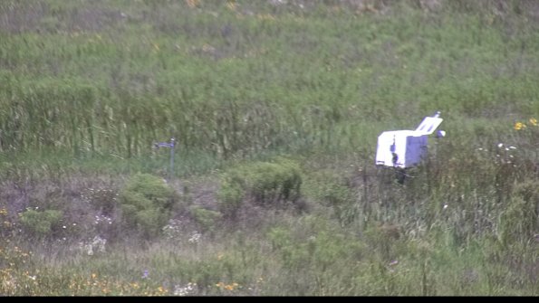 capture-5-23-07-29_13-03-06-35