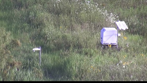 capture-6-23-07-29_08-11-19-05