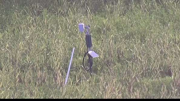 capture-7-23-07-29_08-13-39-25