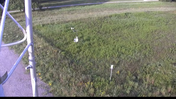 capture-1-23-07-31_08-00-21-49