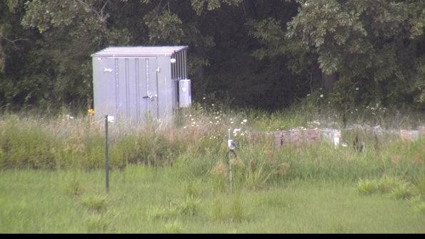 capture-2-23-07-31_15-21-22-51